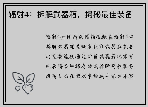 辐射4：拆解武器箱，揭秘最佳装备